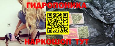 крисы Жуковский