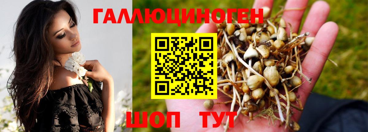 Муром  Галлюциногенные грибы GOLDEN TEACHER  где можно купить   Галлюциногенные грибы Cubensis  Вход с VPN 